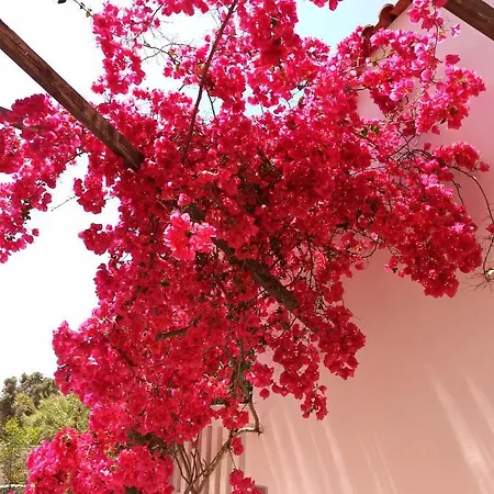 Stella's Aparthotel Tolón